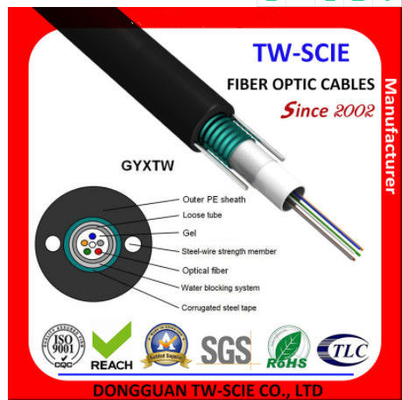 G652D একক মোড আলগা টিউব চায়না ফাইবার অপটিক কেবল GYXTW আউটডোর এরিয়ালের জন্য